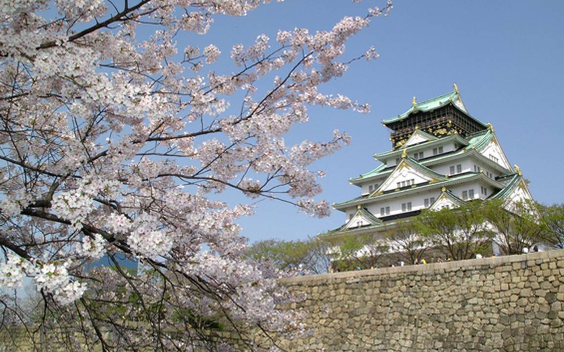 Photo of Others in Higashinari