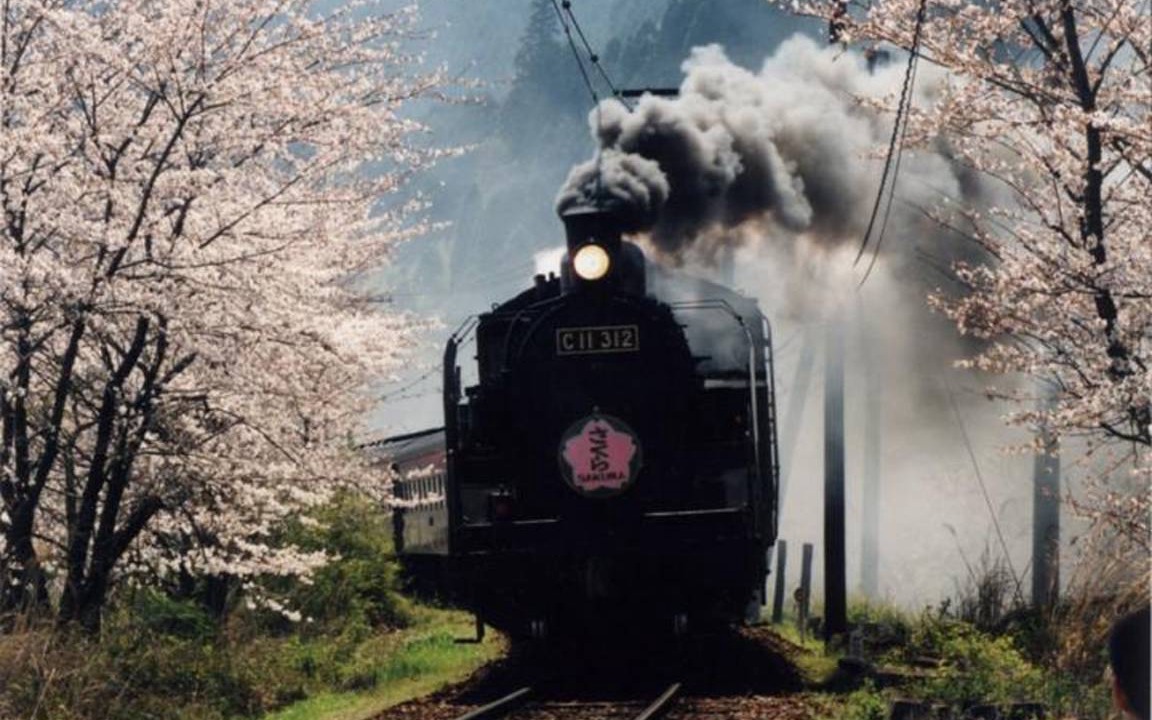 Photo of Others in Shimada