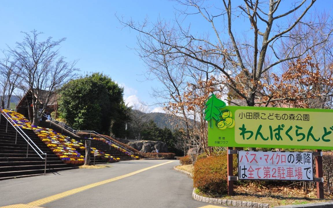 Photo of Others in Odawara