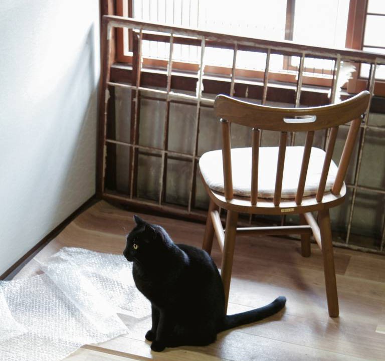 Photo of Others in Yosano