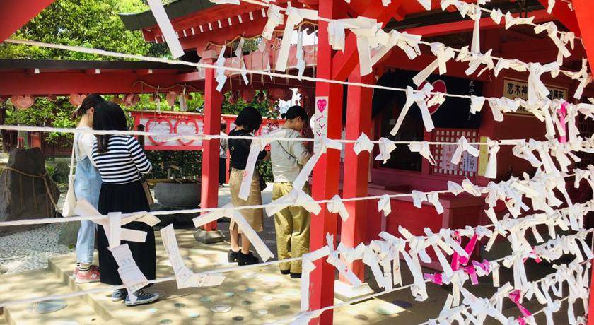 Photo of Others in Chikugo