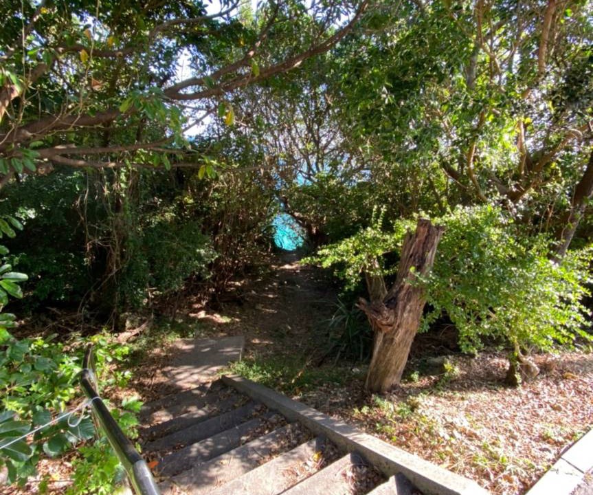 Photo of Others in Ojima Island
