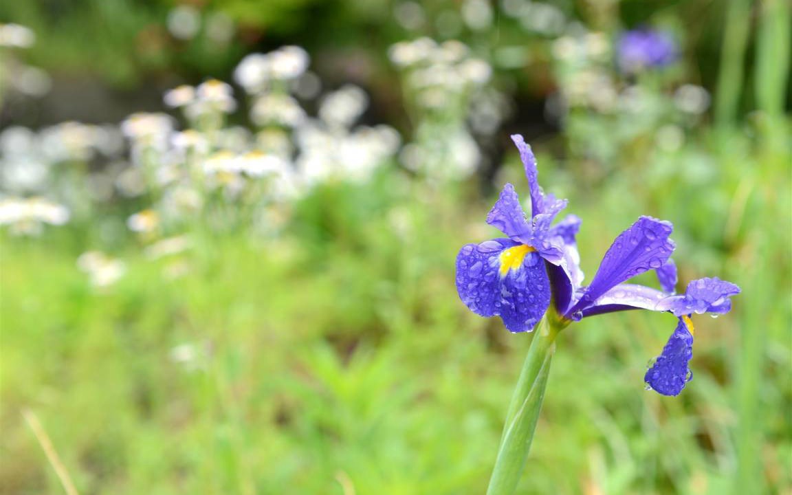 Photo of Outdoor in Yufuin Onsen