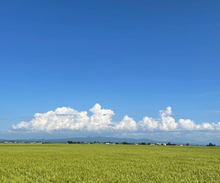 Photo of Others in Tsugaru