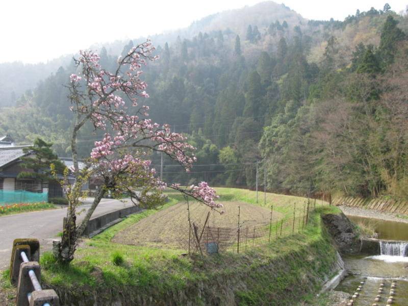 Photo of Others in Ine-cho