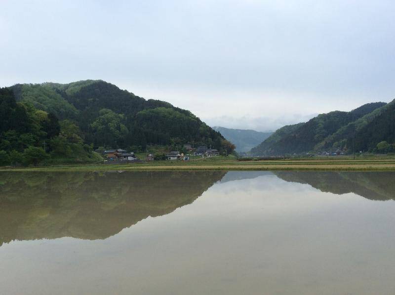 Photo of Others in Ine-cho