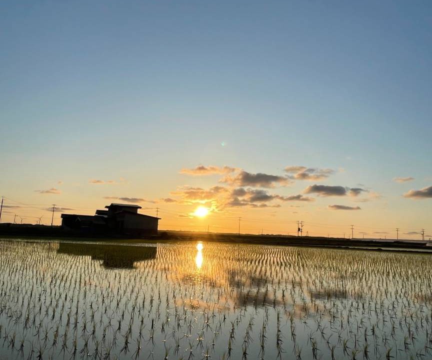 Photo of Others in Tsugaru