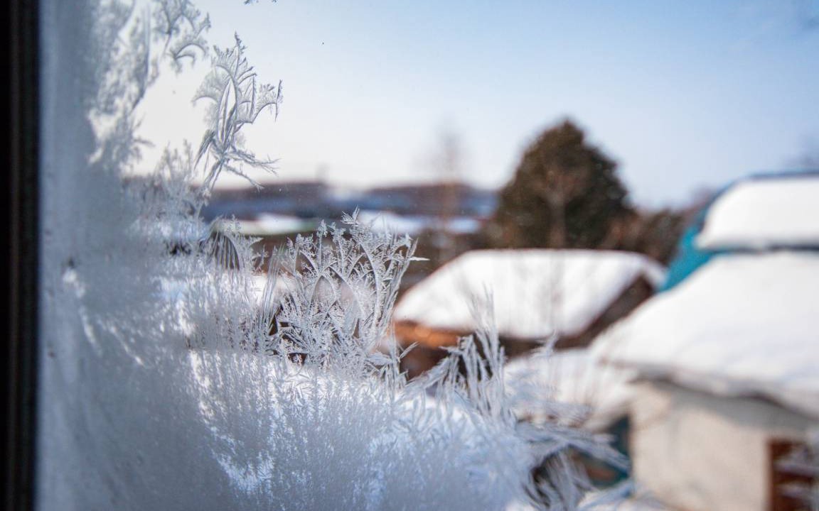 Photo of Others in Asahikawa