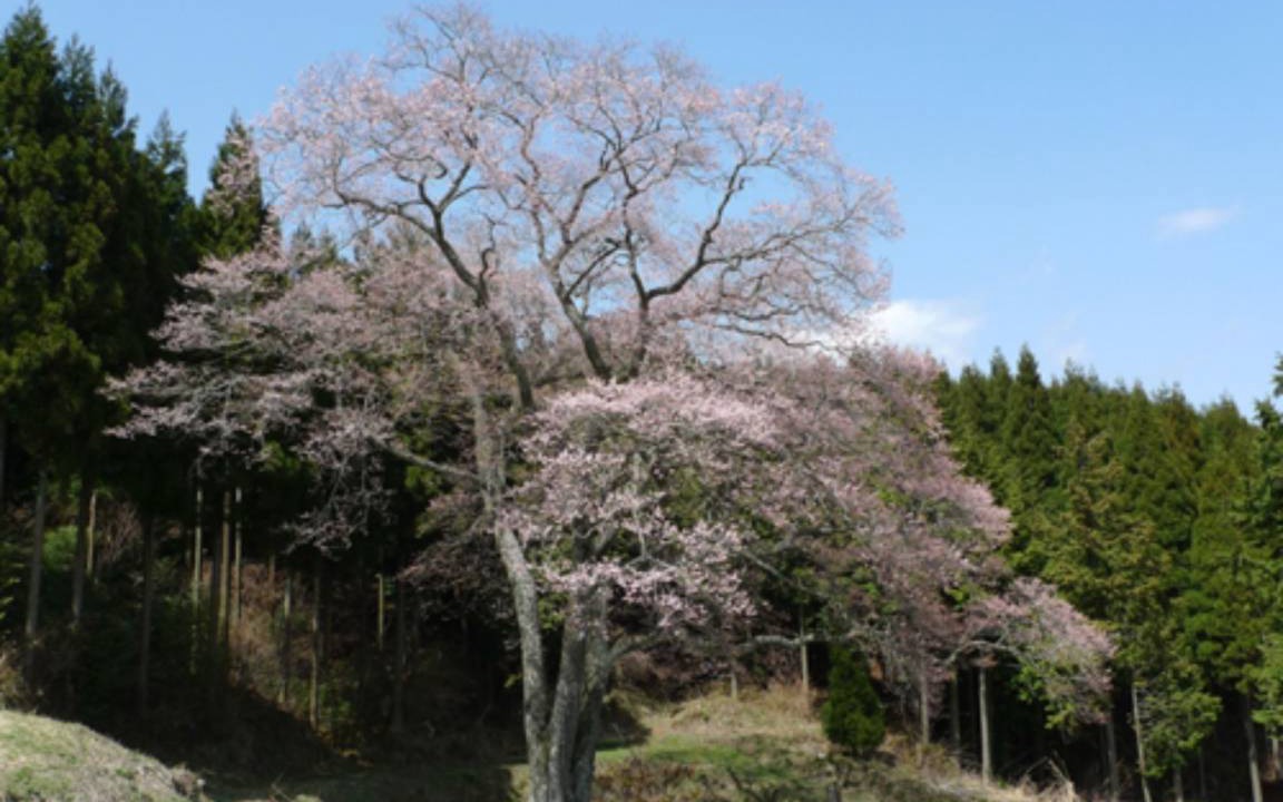 Photo of Others in Shobara