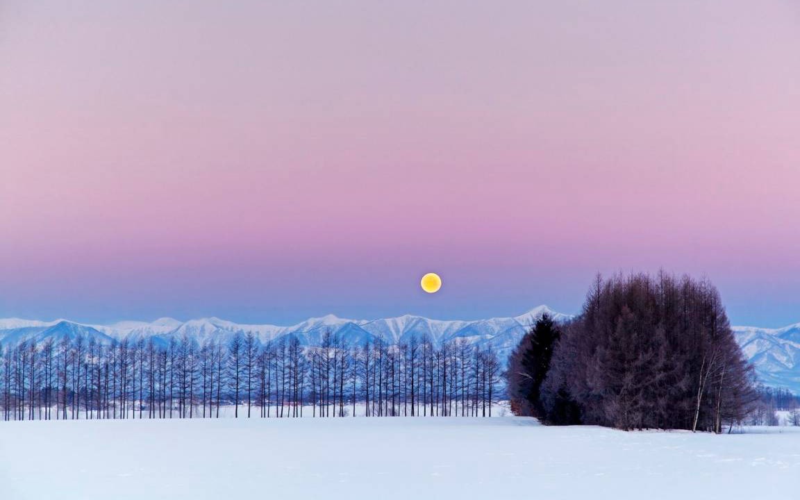 Photo of Others in Asahikawa