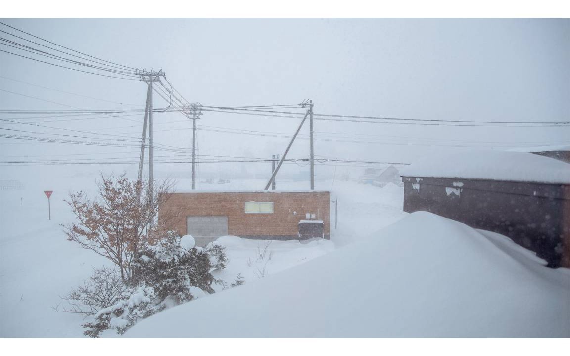 Photo of Others in Asahikawa