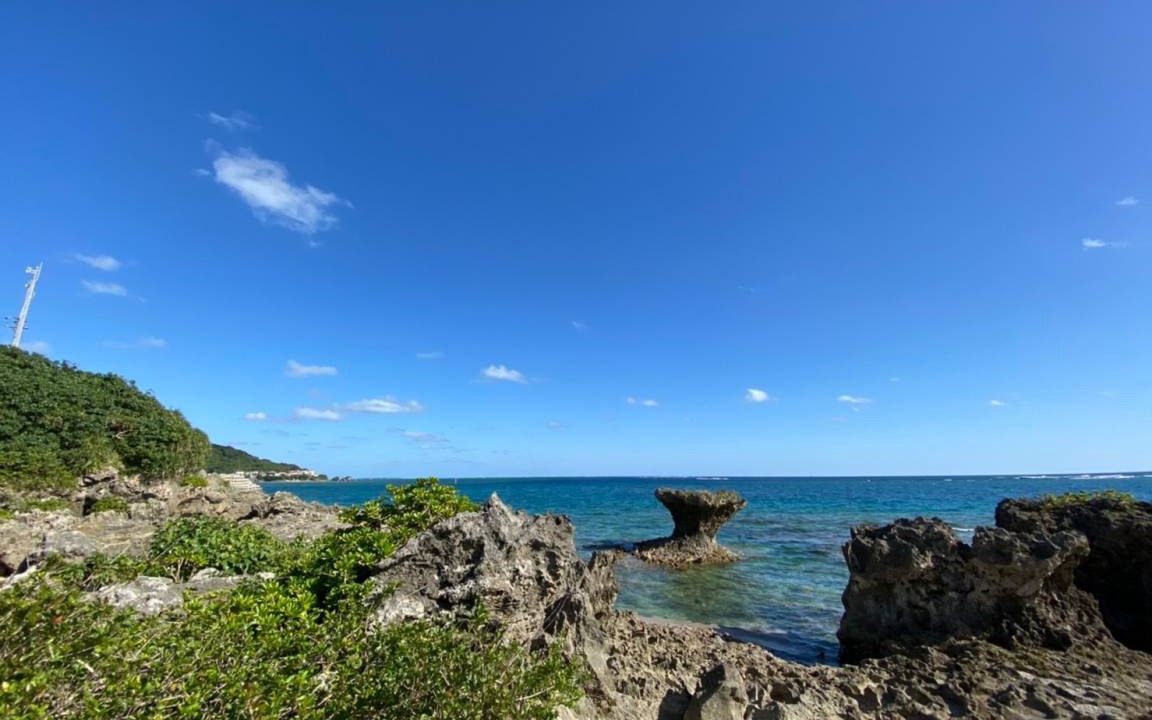 Photo of Others in Ojima Island