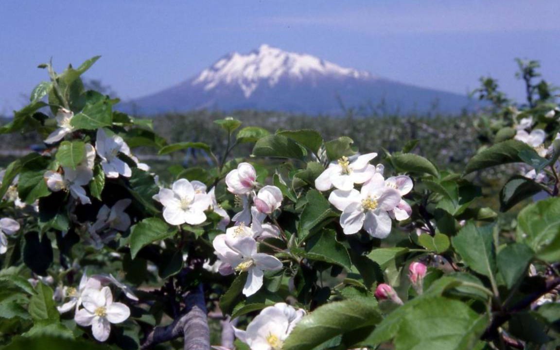 Photo of Others in Goshogawara