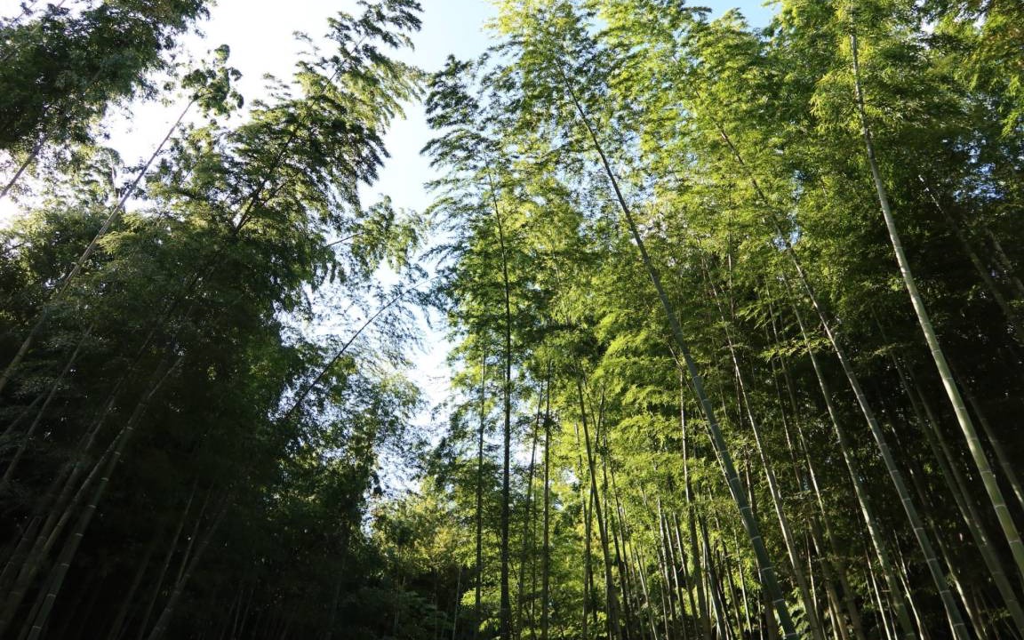 Photo of Others in Katsuura