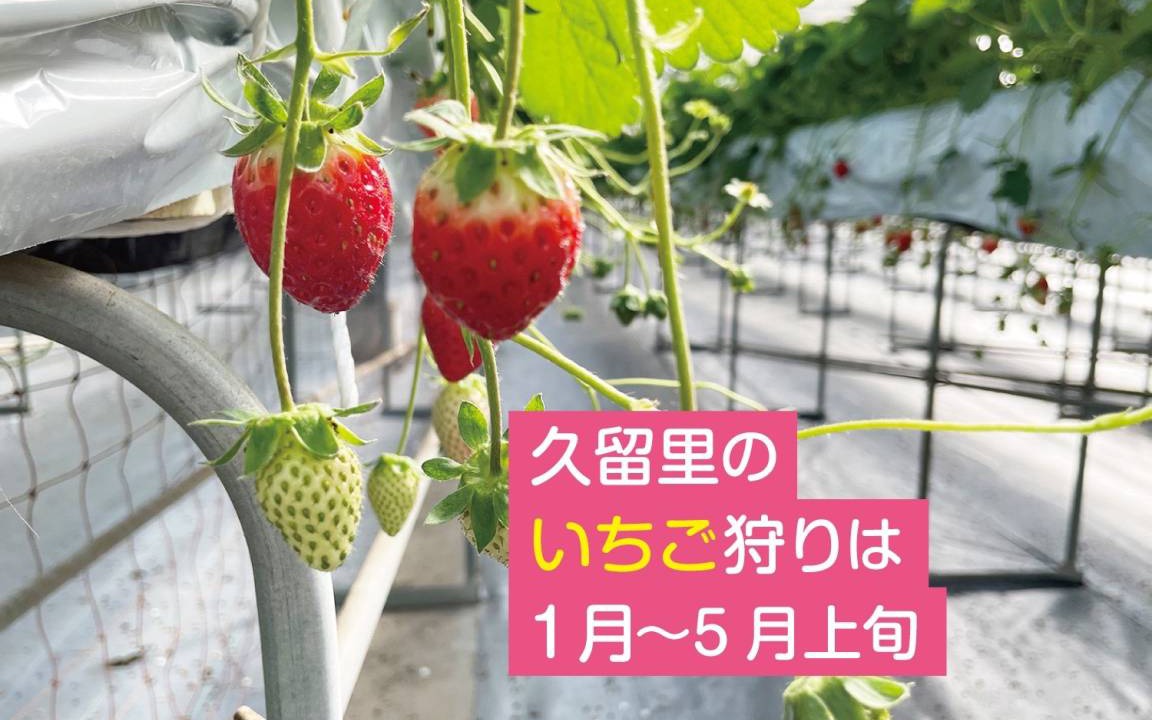 Photo of Others in Kimitsu