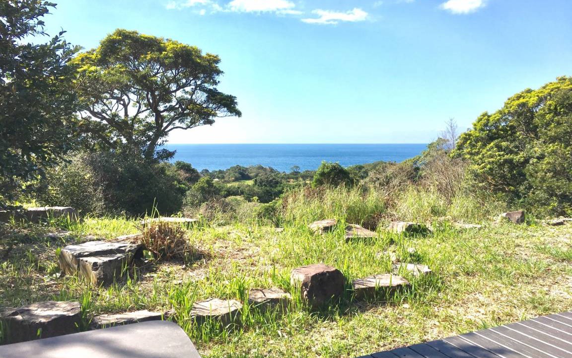 Photo of Others in Yakushima