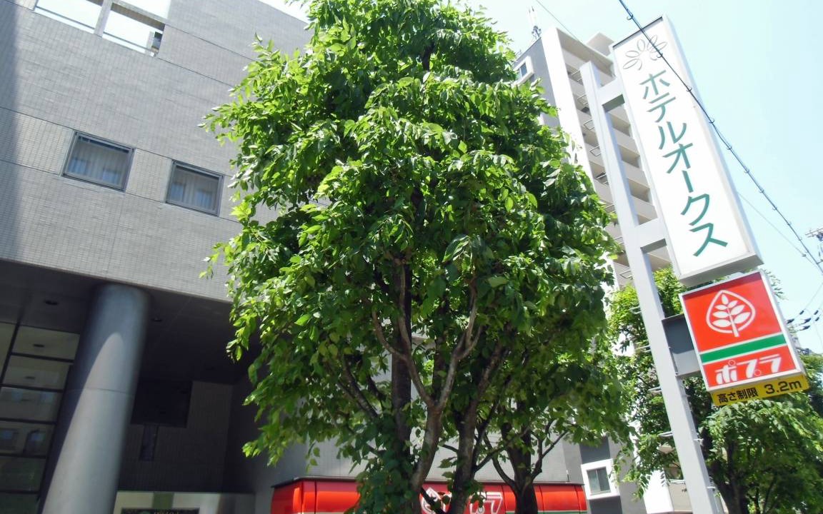 Photo of Others in Higashinari