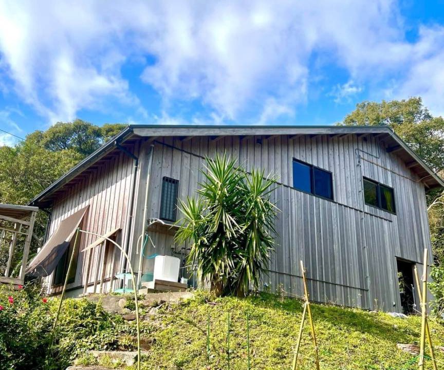 Photo of Others in Yakushima