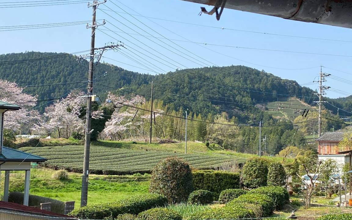 Photo of Others in Kakegawa