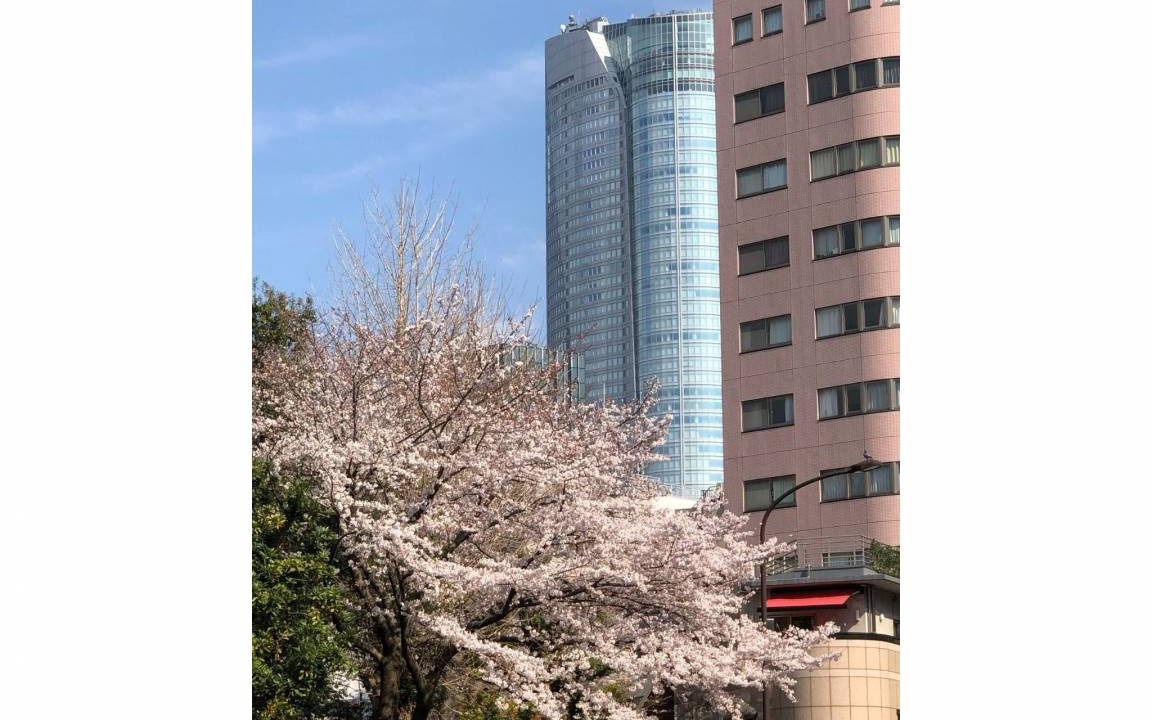Photo of Others in Minamiaoyama