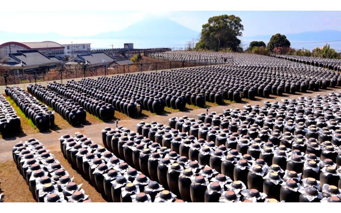 Photo of Others in Kanoya