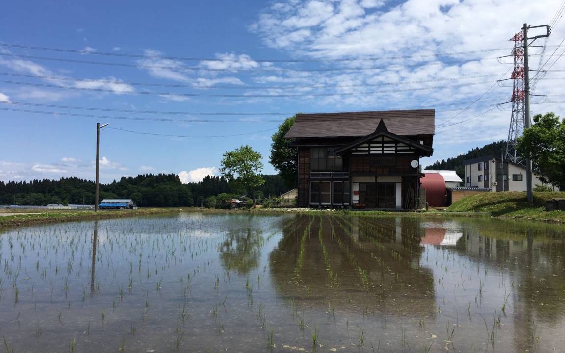 Photo of Others in Tokamachi
