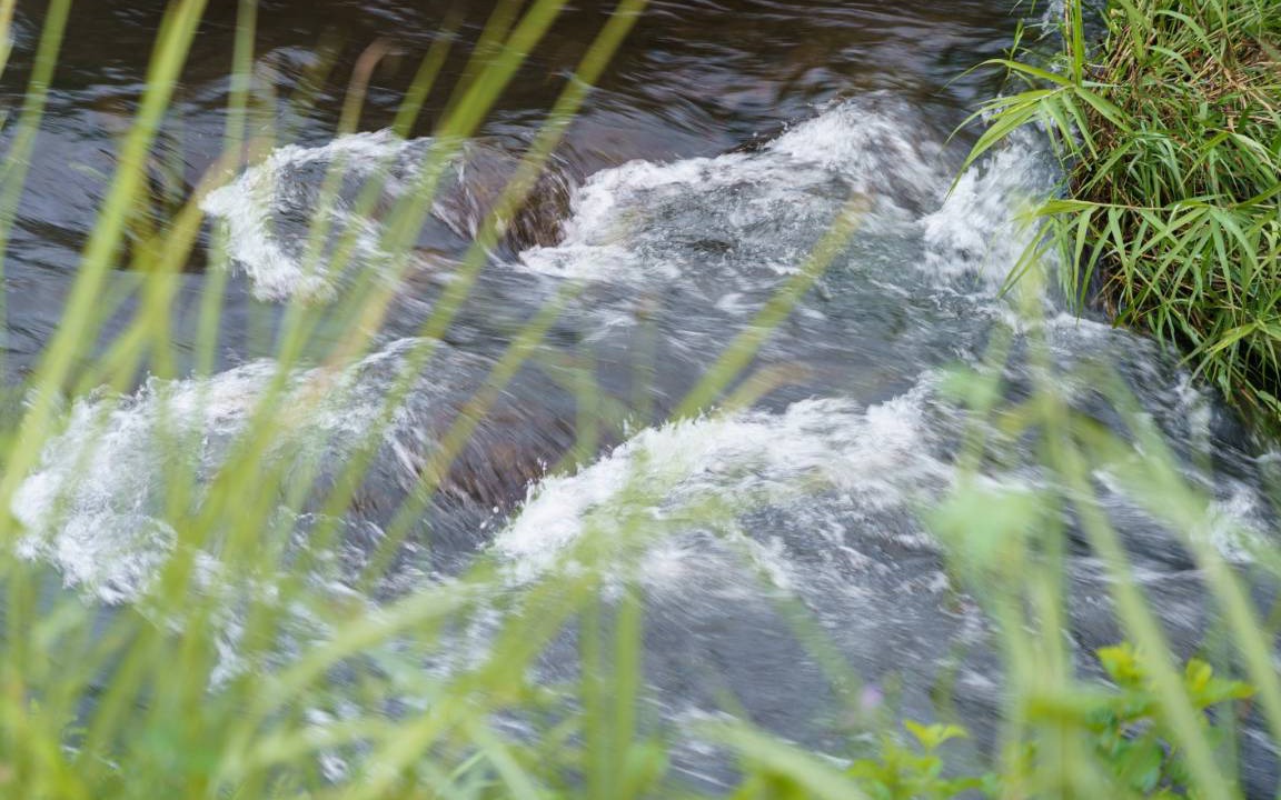 Photo of Others in Yufuin Onsen