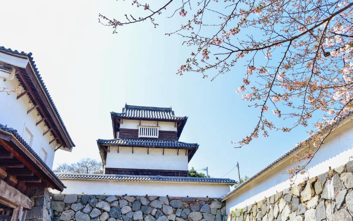 Photo of Others in Chuo-ku