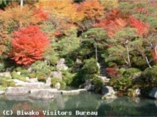 Photo of Others in Hino-cho