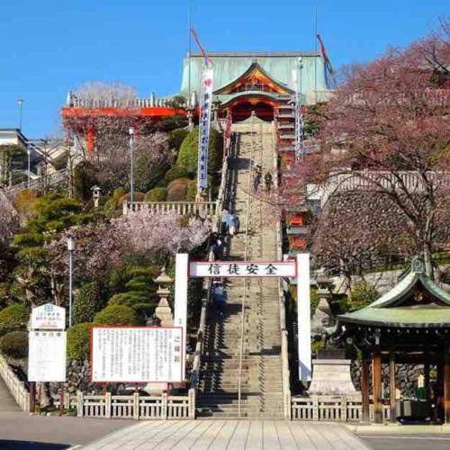 Photo of Others in Narashino