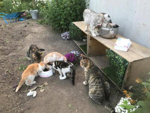 Photo of Others in Minamitsugaru-gun