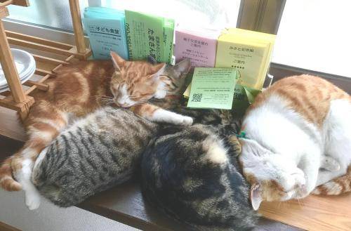 Photo of Others in Minamitsugaru-gun