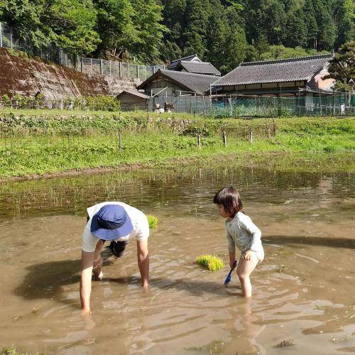 Photo of Others in Ine-cho