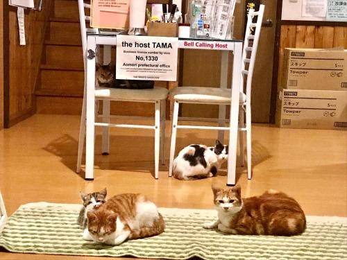 Photo of Others in Minamitsugaru-gun