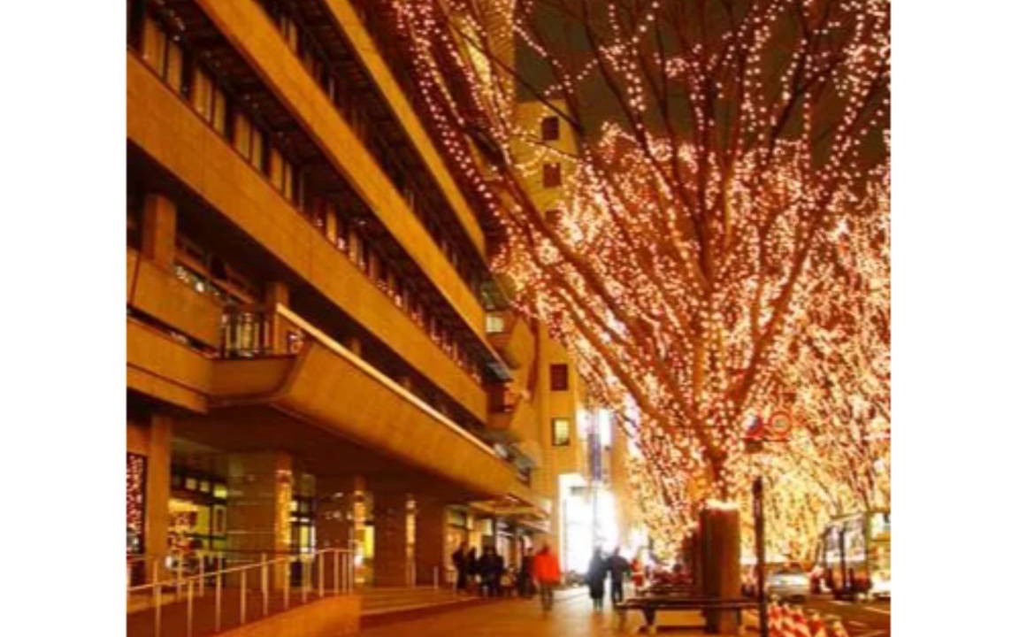 Photo of Others in Kokubuncho