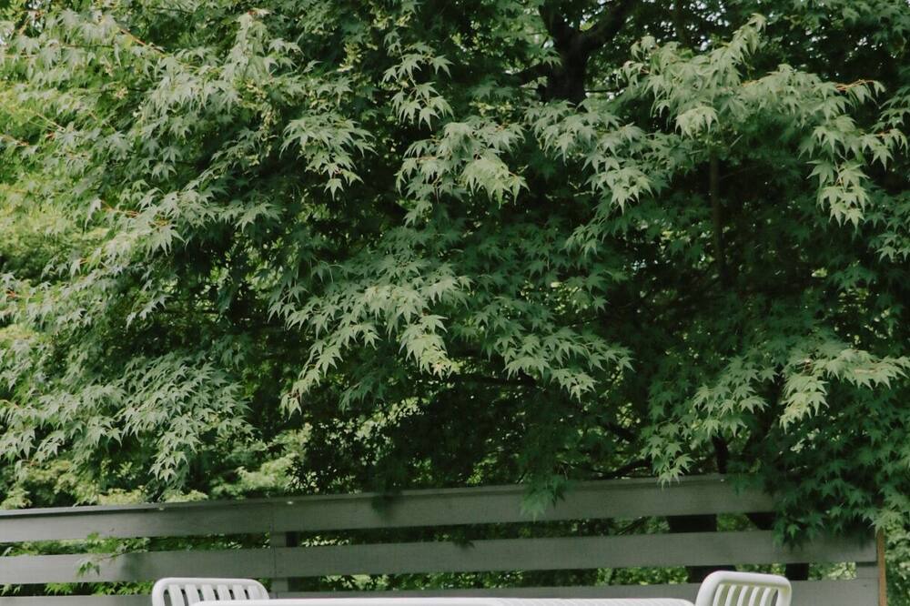 Photo of Outdoor in Fujikawaguchiko