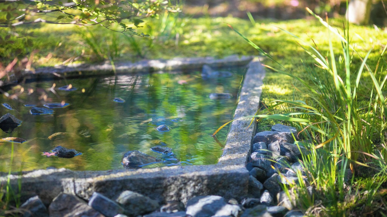 Photo of Outdoor in Miyakami
