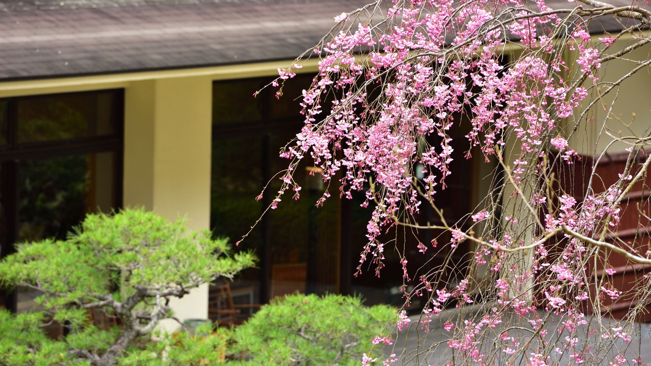 Photo of Outdoor in Yunohana