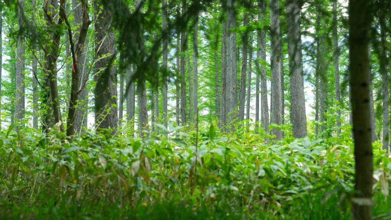 Photo of Outdoor in Nakafurano