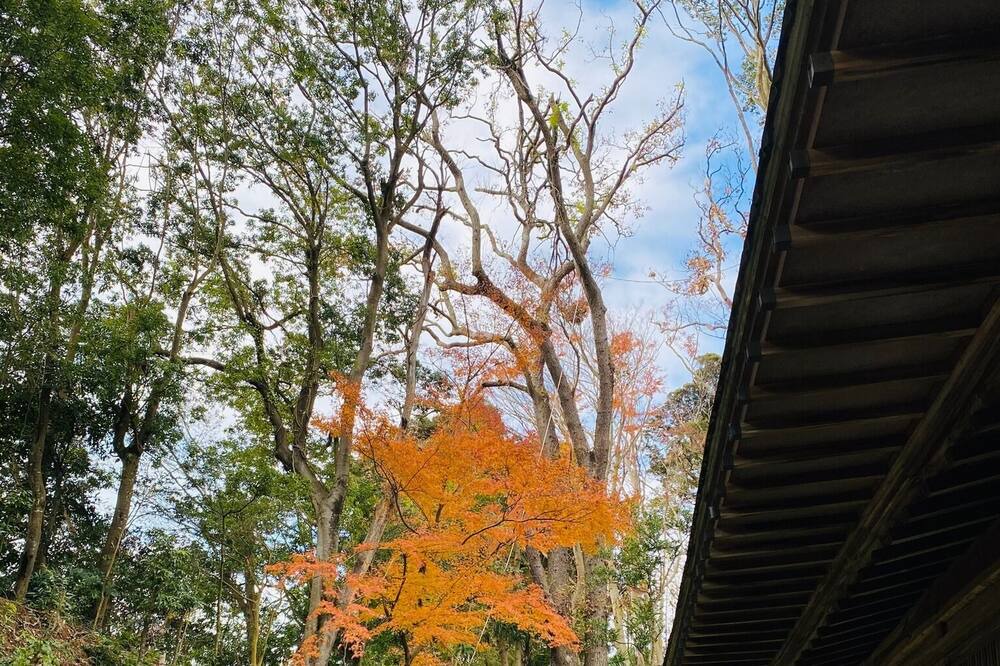Photo of Others in Yotsukaido