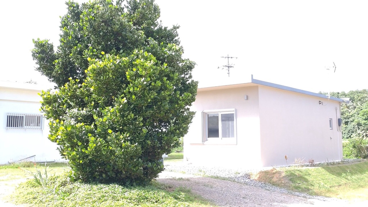 Photo of Outdoor in Uehara