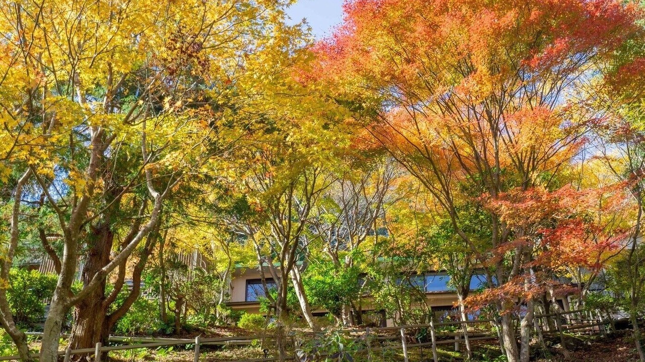 Photo of Outdoor in Kyomachi Onsen
