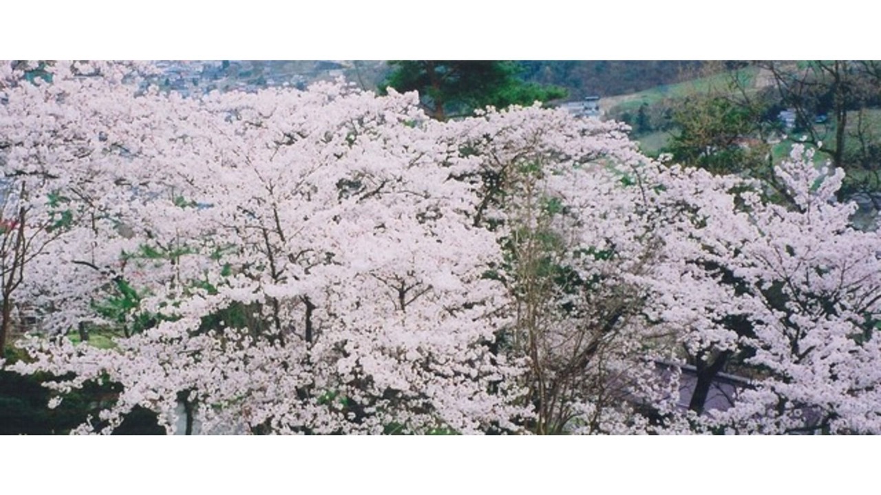 Photo of Others in Chikuma