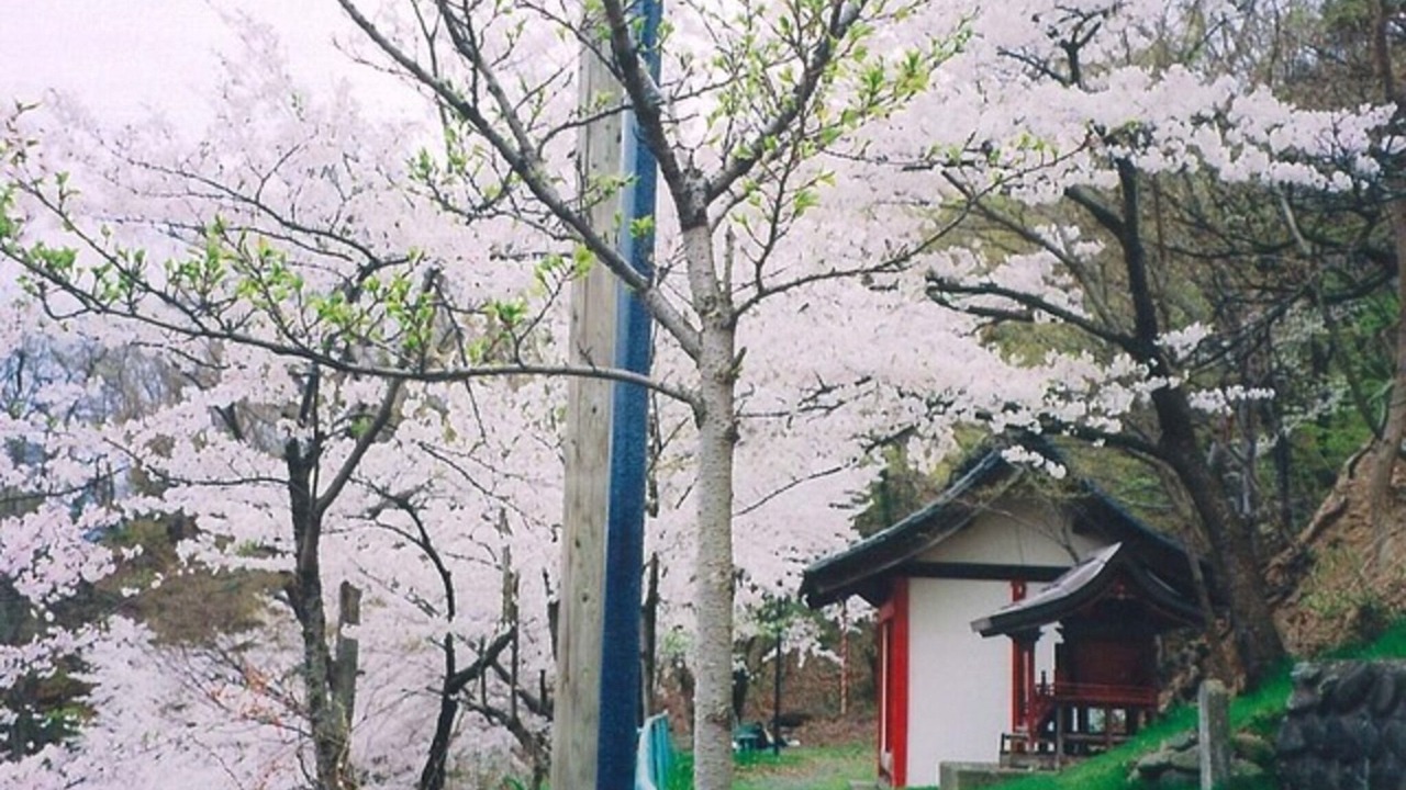 Photo of Outdoor in Chikuma