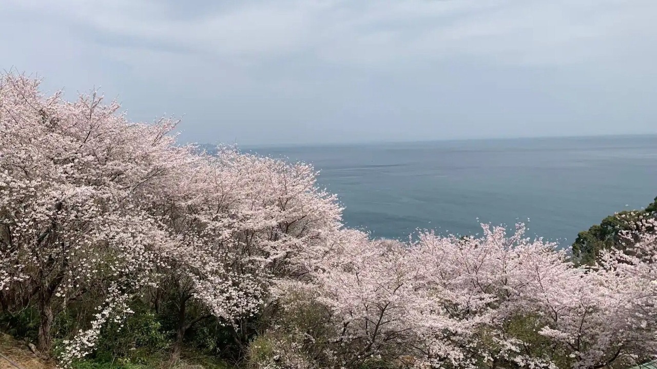 Photo of Outdoor in Miyakami