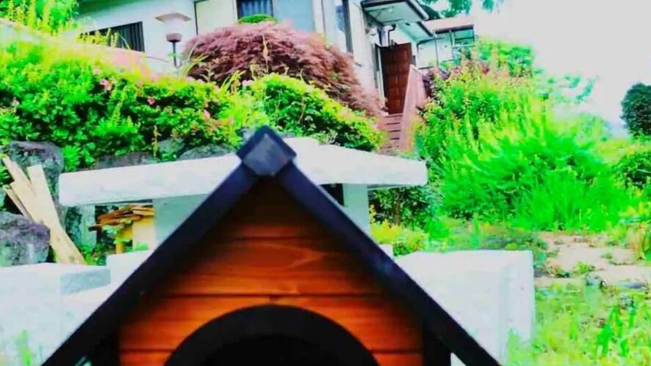 Photo of Outdoor in Miyakami