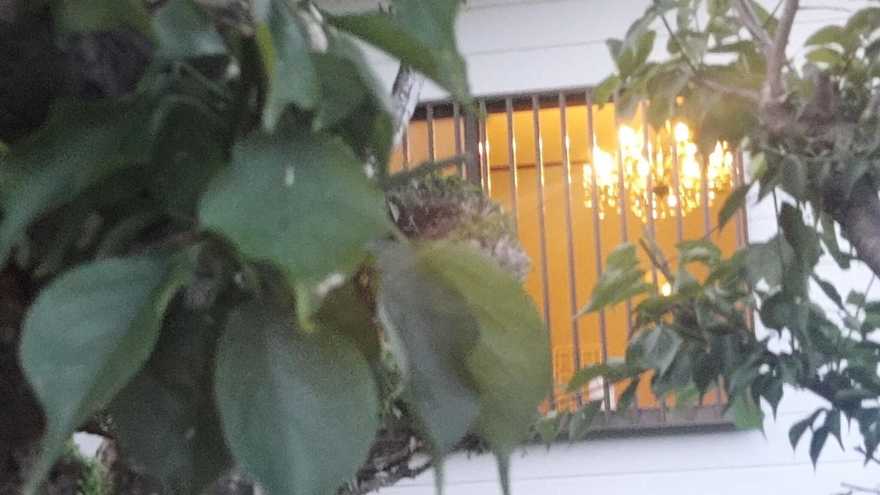 Photo of Outdoor in Miyakami