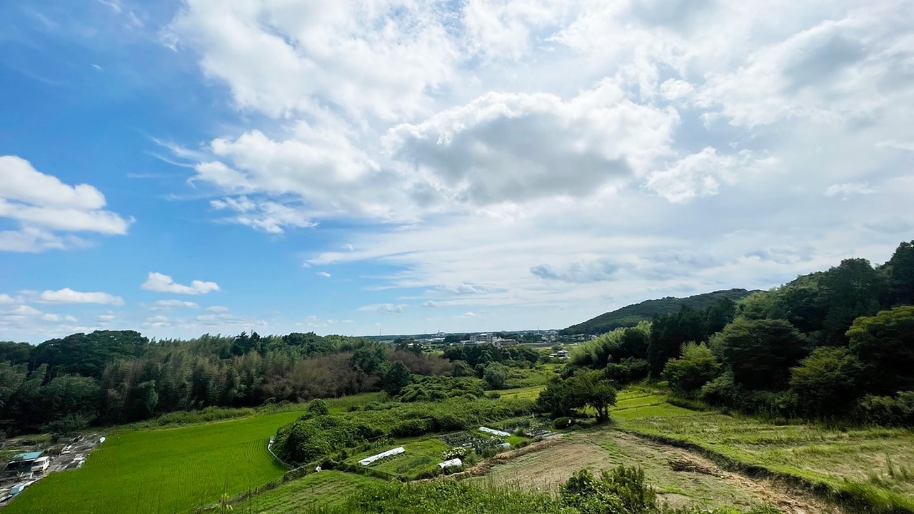 Photo of Outdoor in Tsukuba
