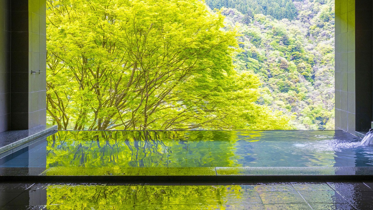 Photo of Others in Miyoshi