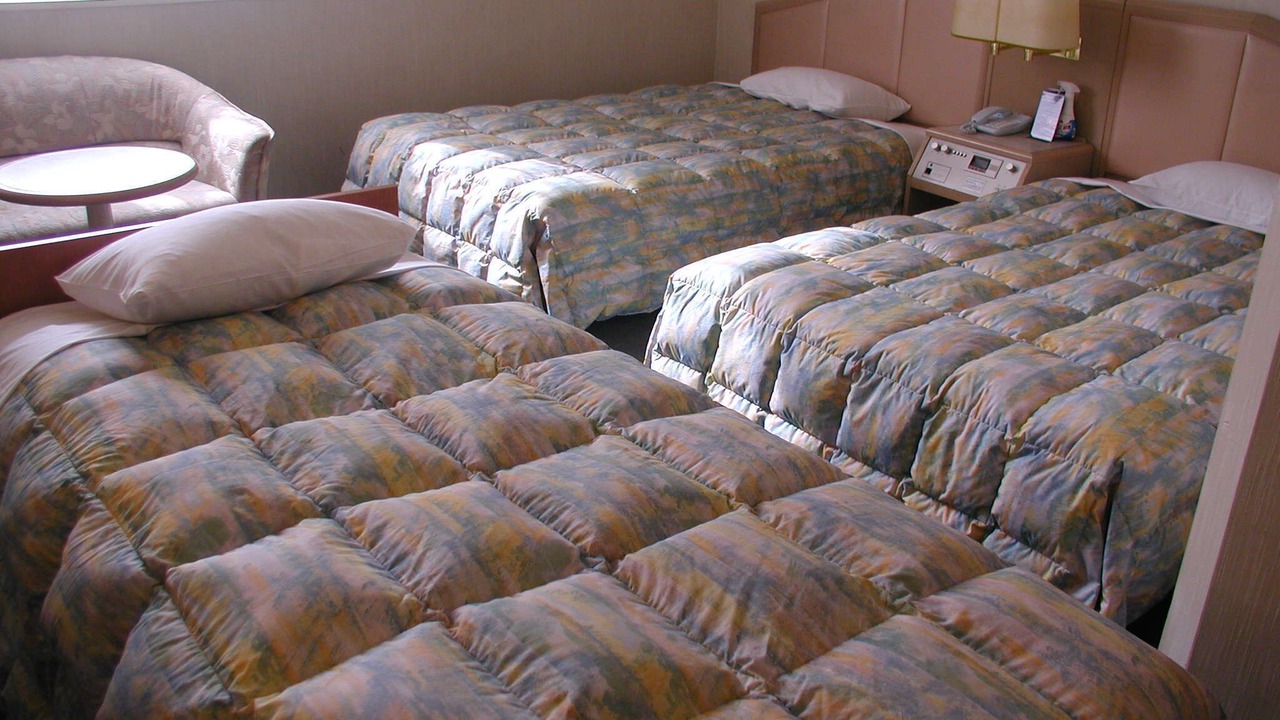 Photo of Bedroom in Tsubame